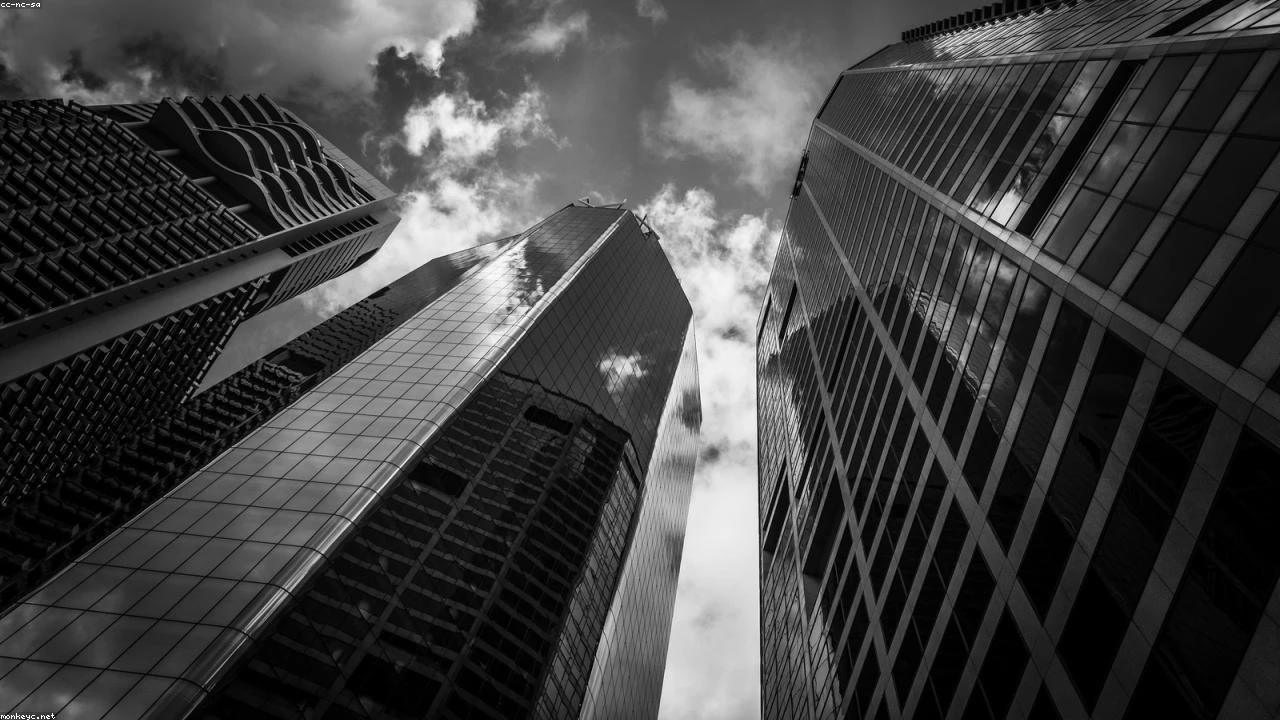 Palantir Stock Under Pressure: Analyzing Chart Support Levels